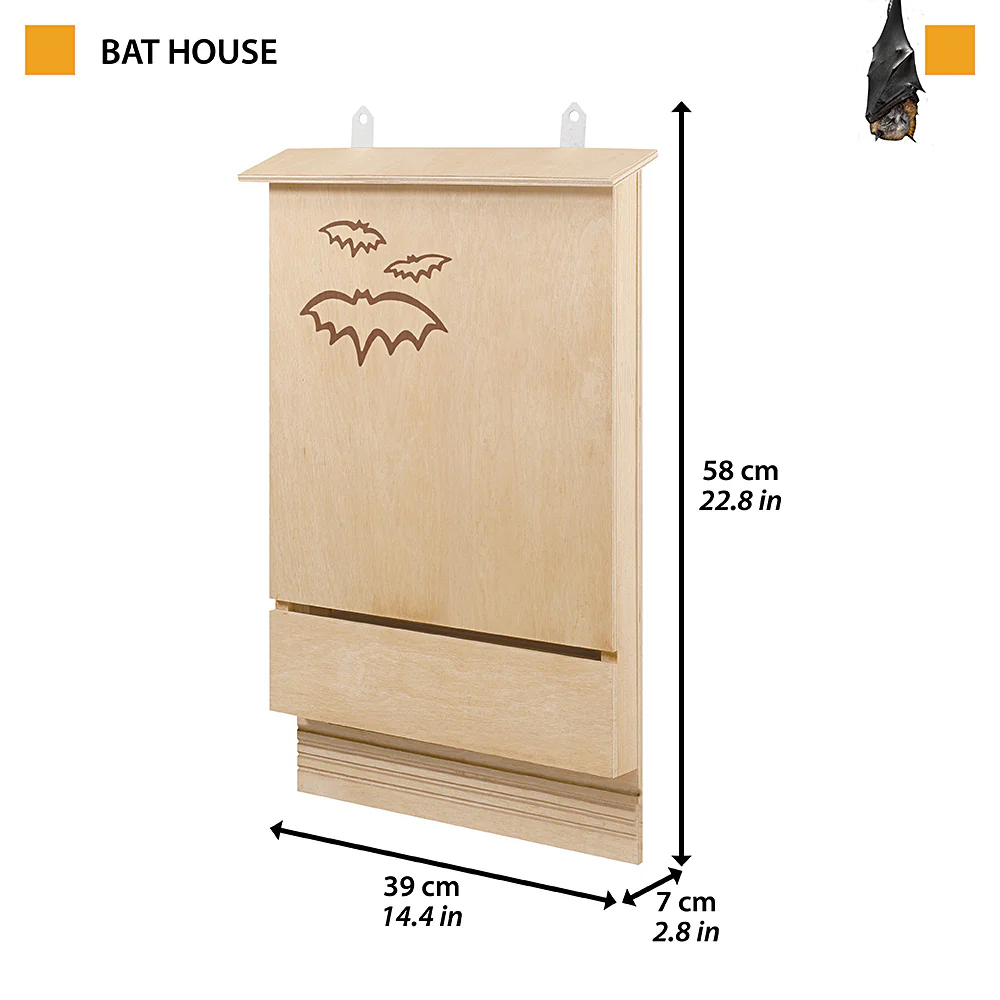 BAT HOUSE - Image 2