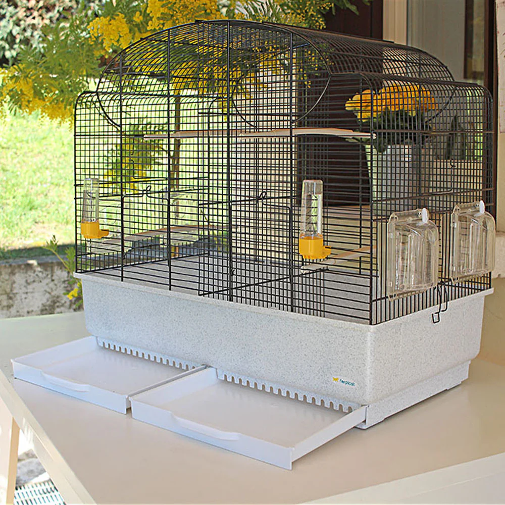 CANTO - Image 4