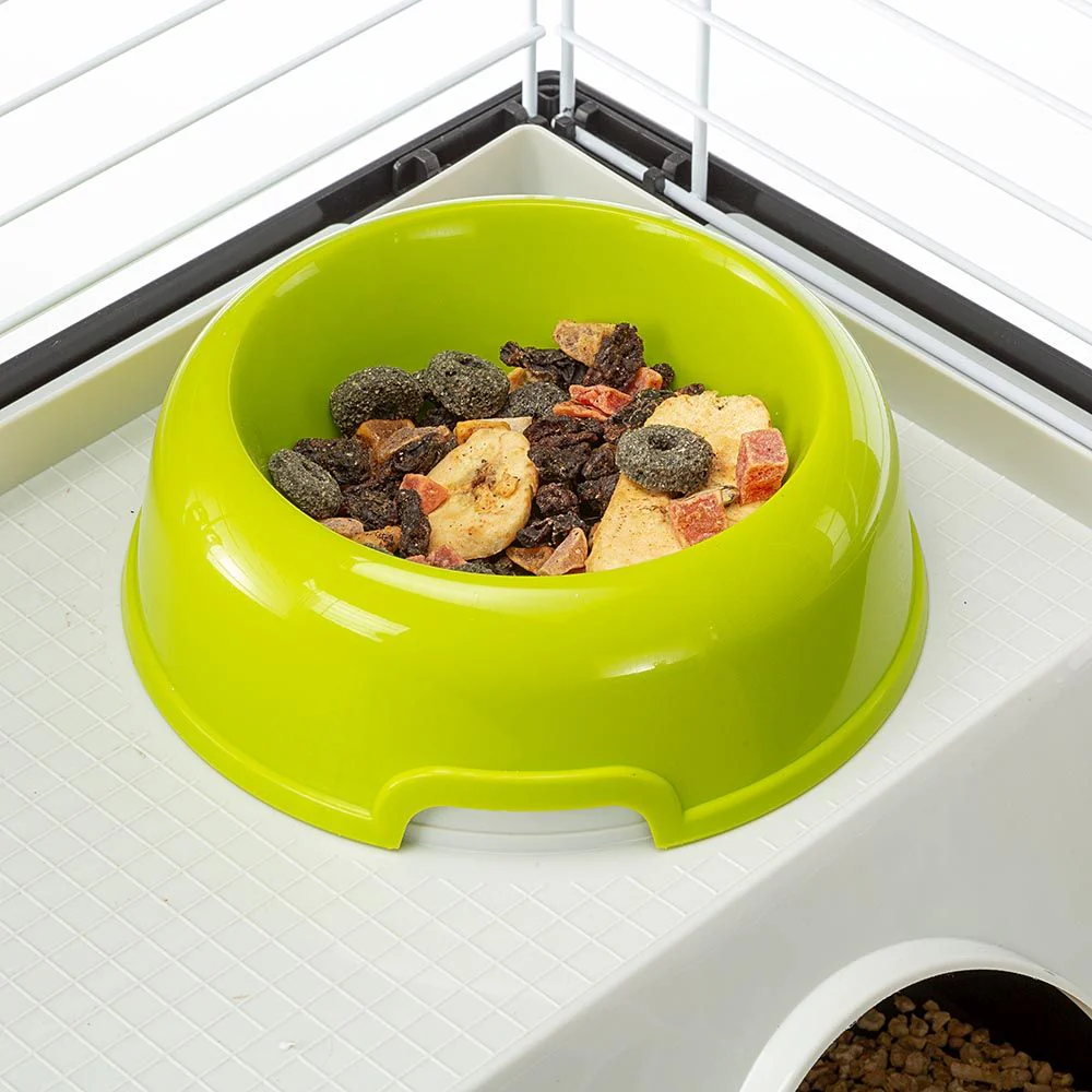 CASITA 80 - Image 8