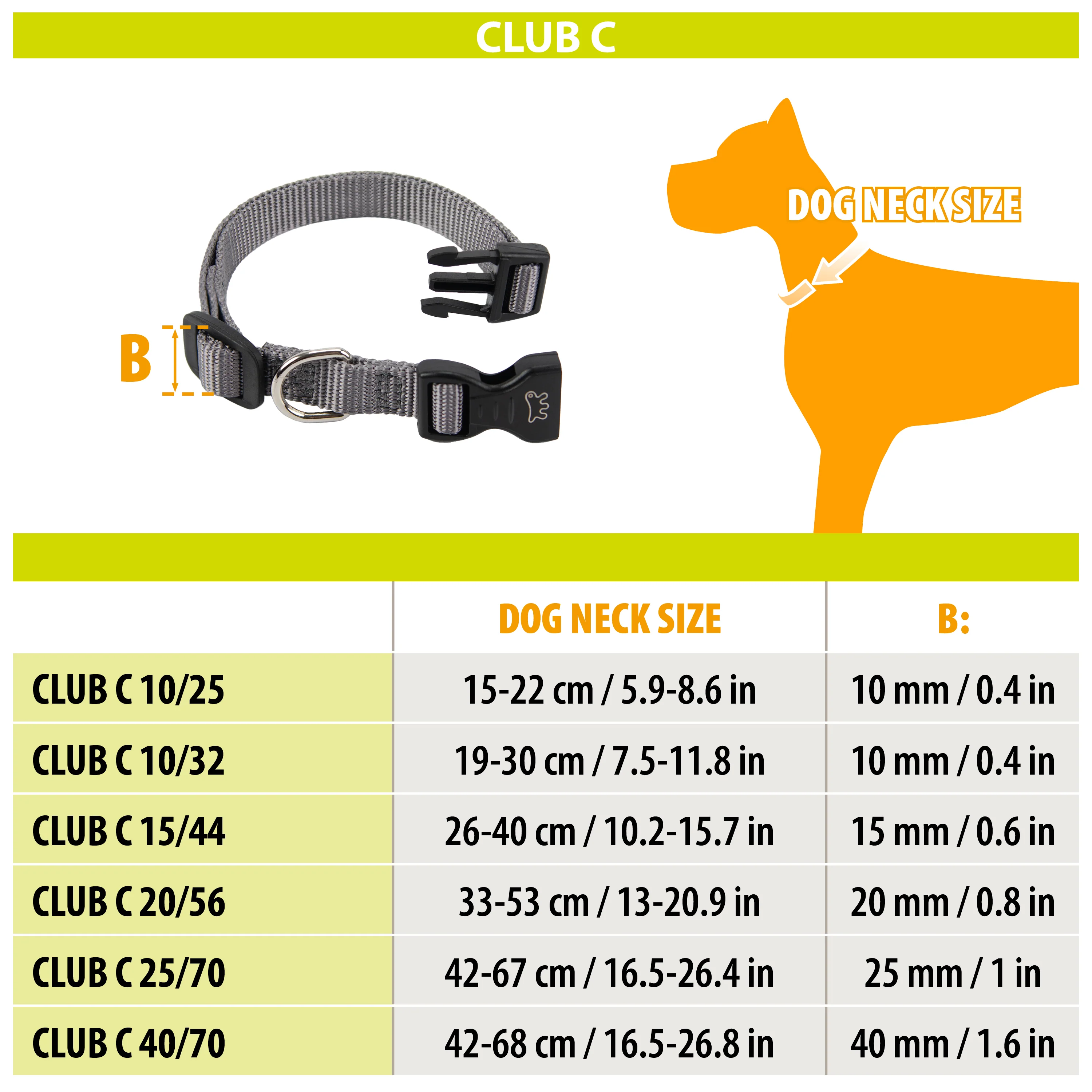 CLUB C - Image 2