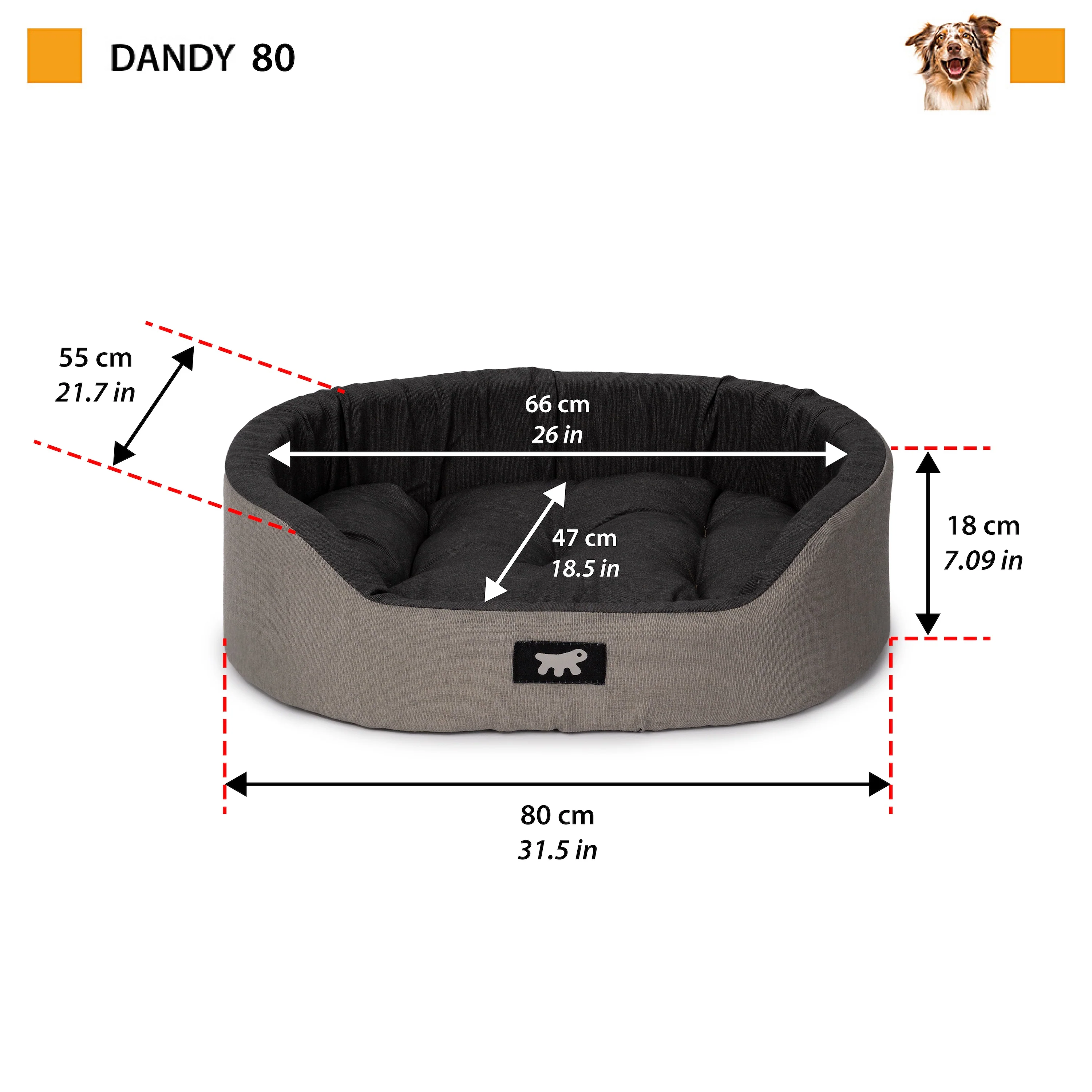 DANDY C COLOUR - Image 10