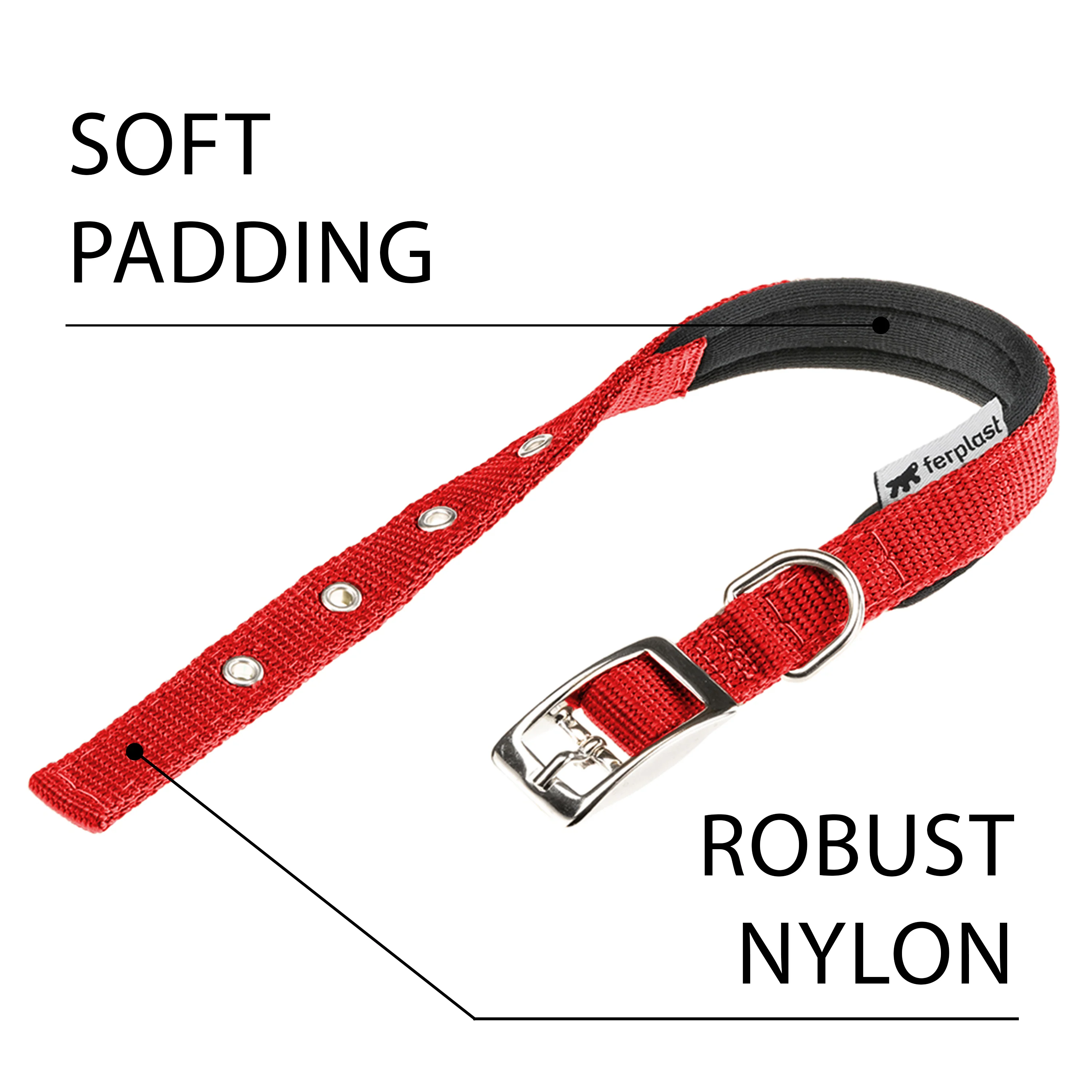 DAYTONA C - Image 70
