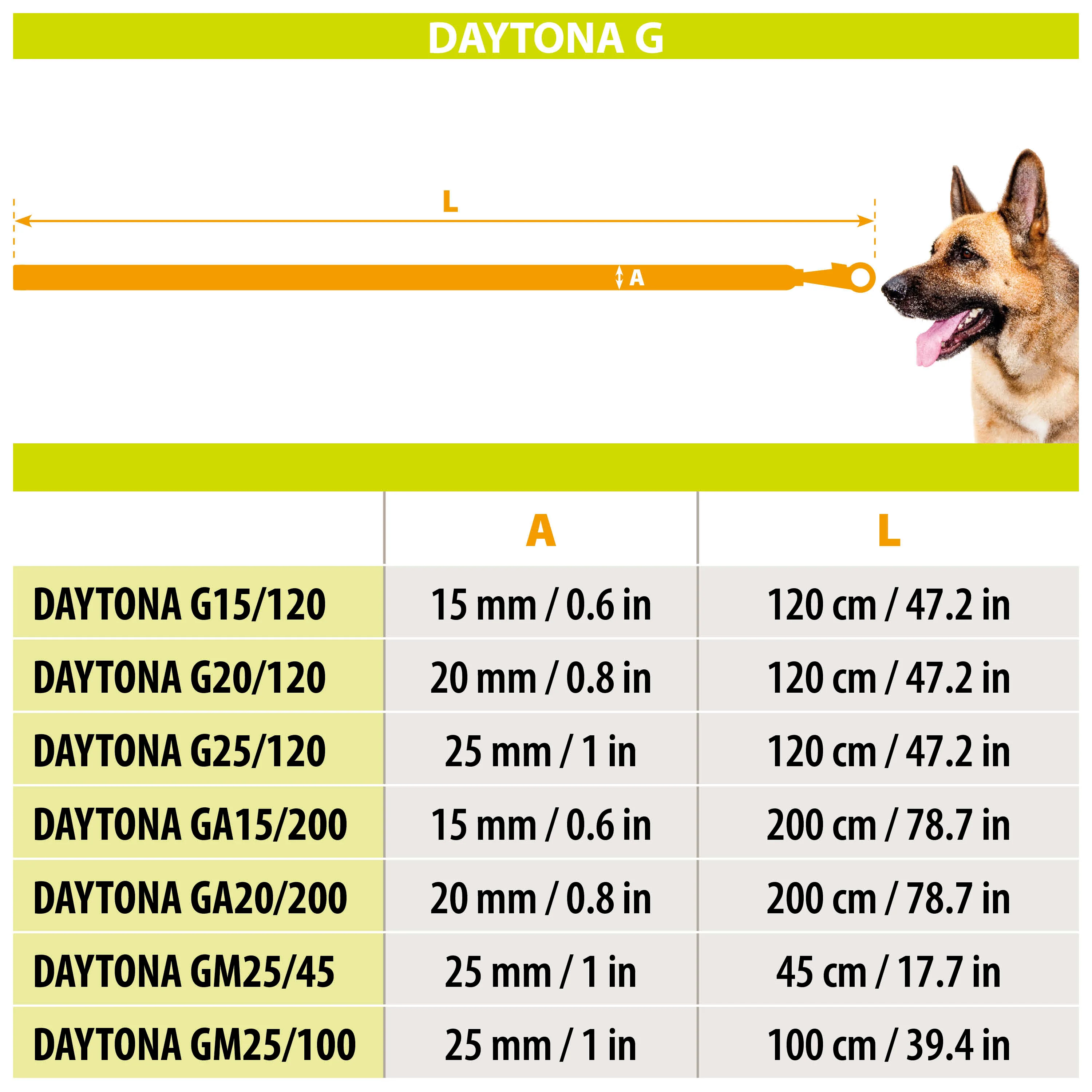 DAYTONA G - Image 17