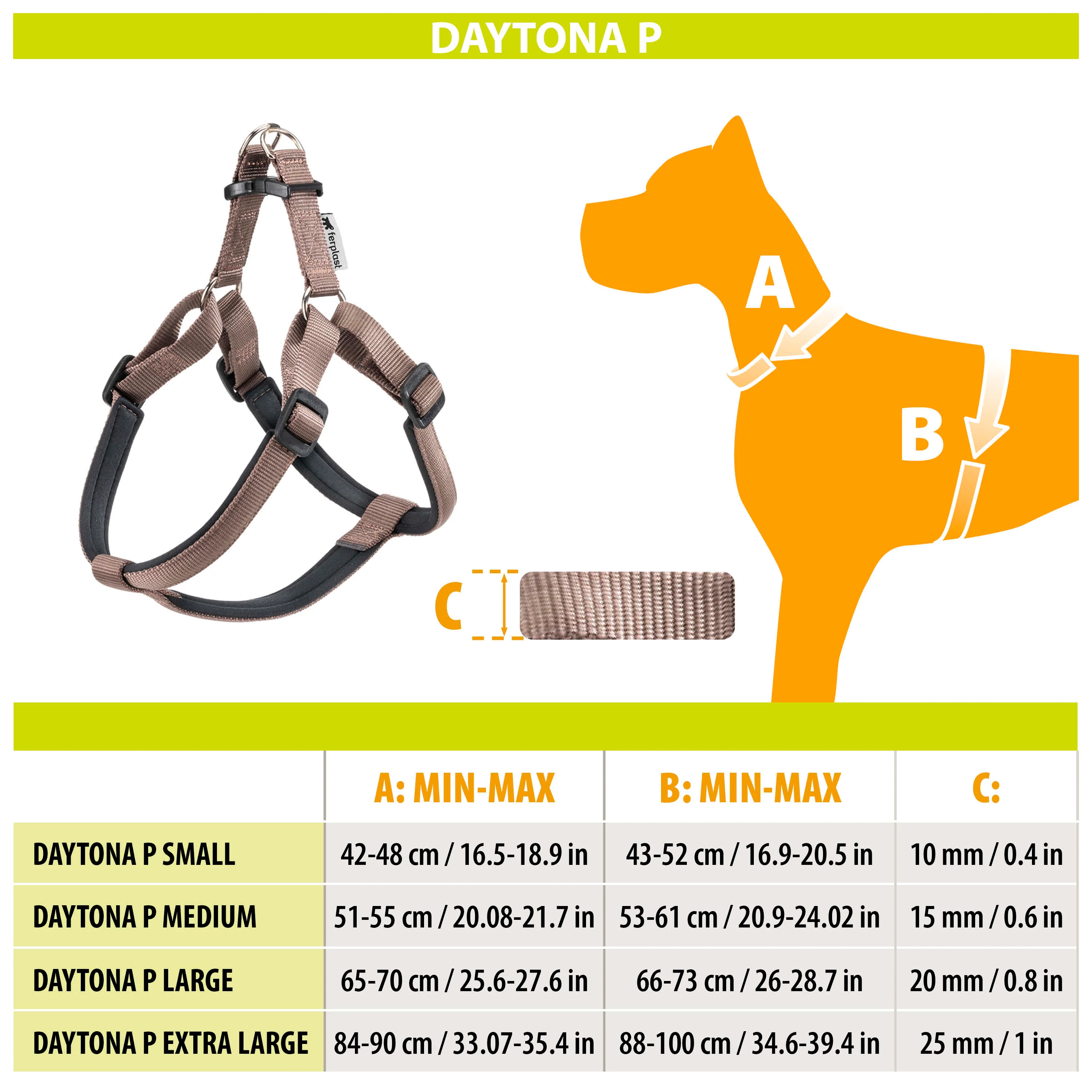 DAYTONA P - Image 12