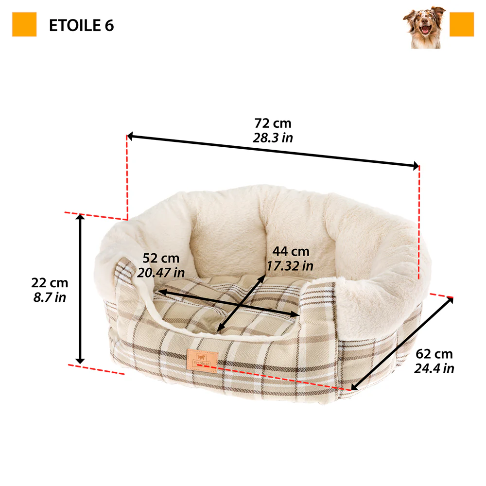 ETOILE - Image 8
