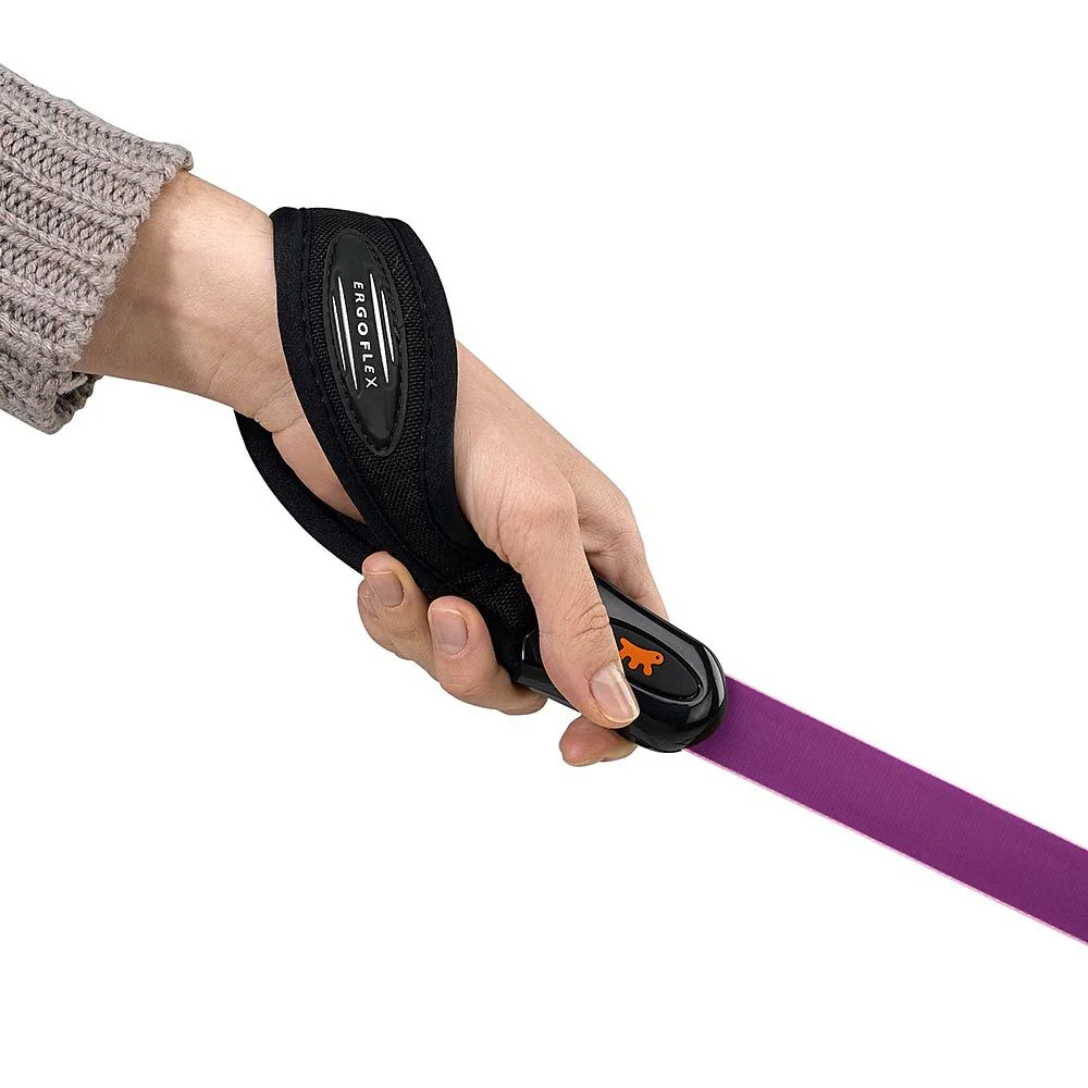 EVOLUTION GM - Image 4