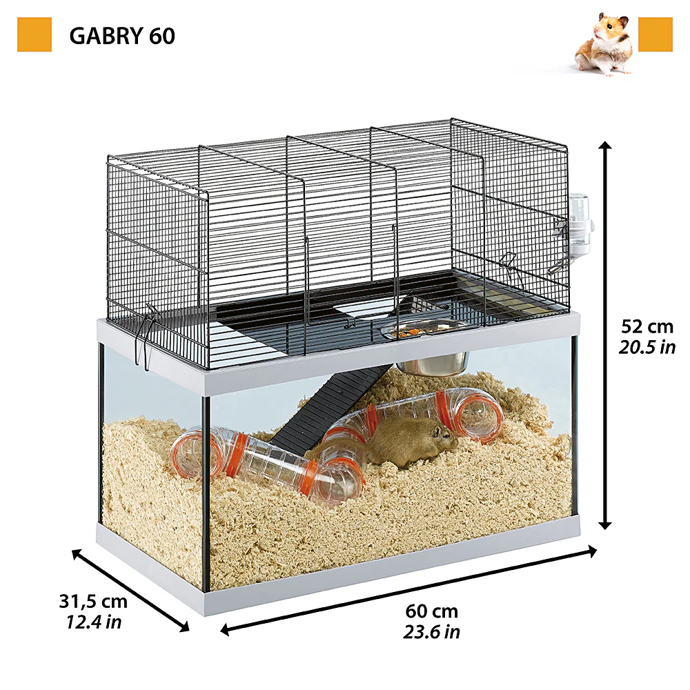 GABRY 60 - Image 2