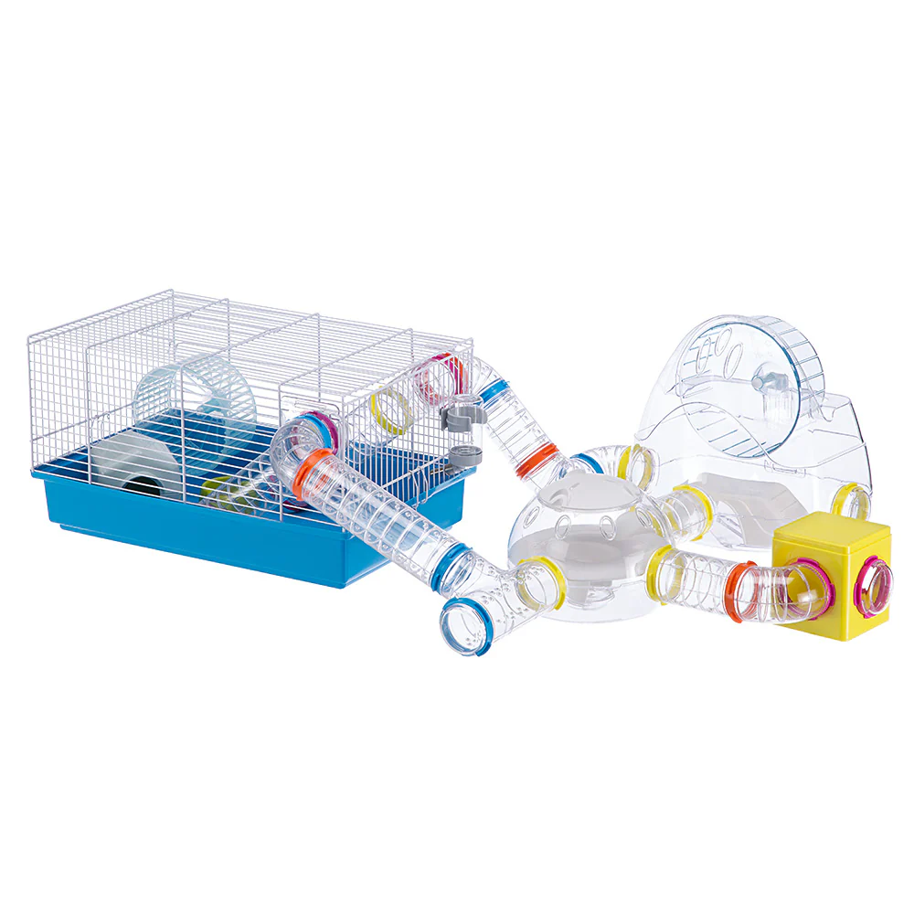 GYM - Image 7