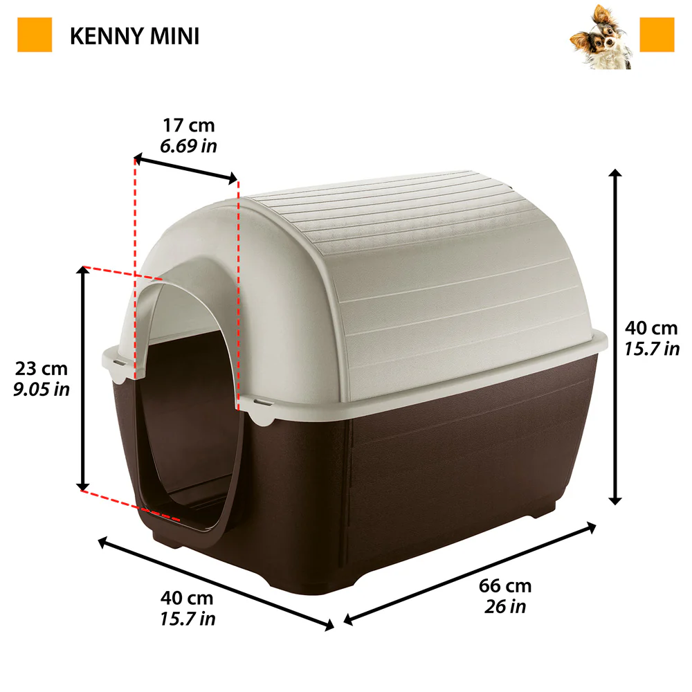 KENNY - Image 2