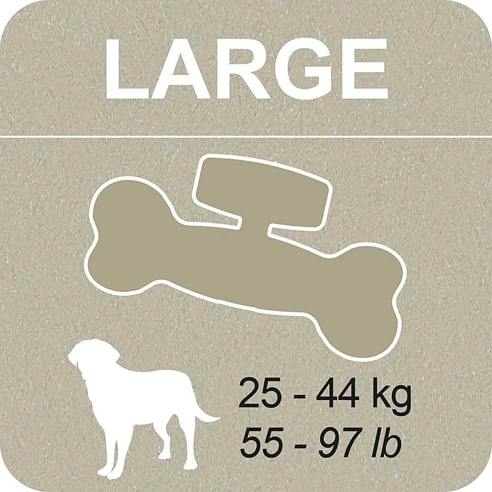100% SNACK FILLABLE - BONE EUGLENA - Image 9