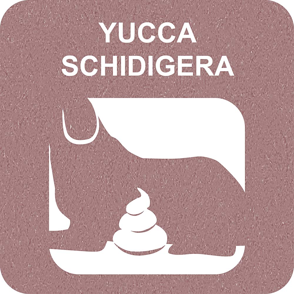100% SNACK FILLABLE - BONE YUCCA - Image 3