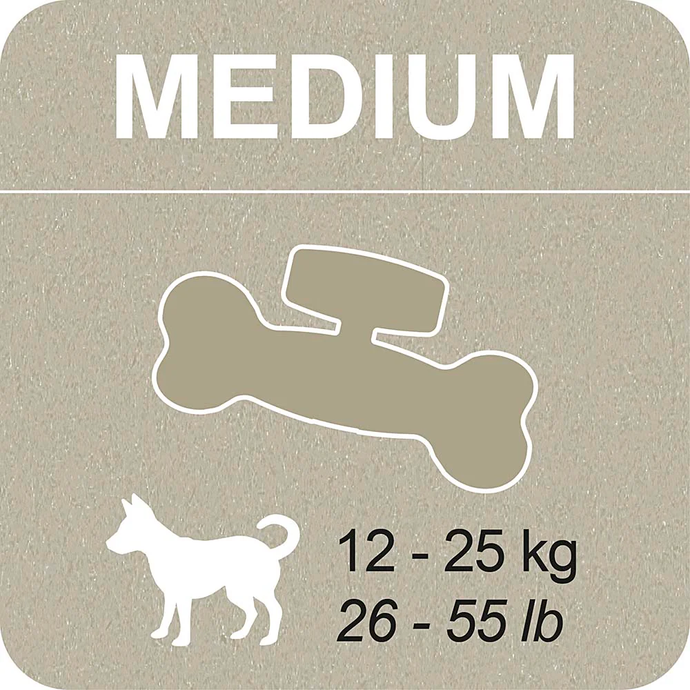 100% SNACK FILLABLE - BONE YUCCA - Image 6