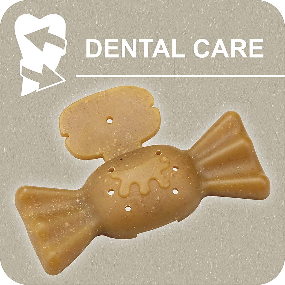 100% SNACK FILLABLE - CANDY EUGLENA - Image 2