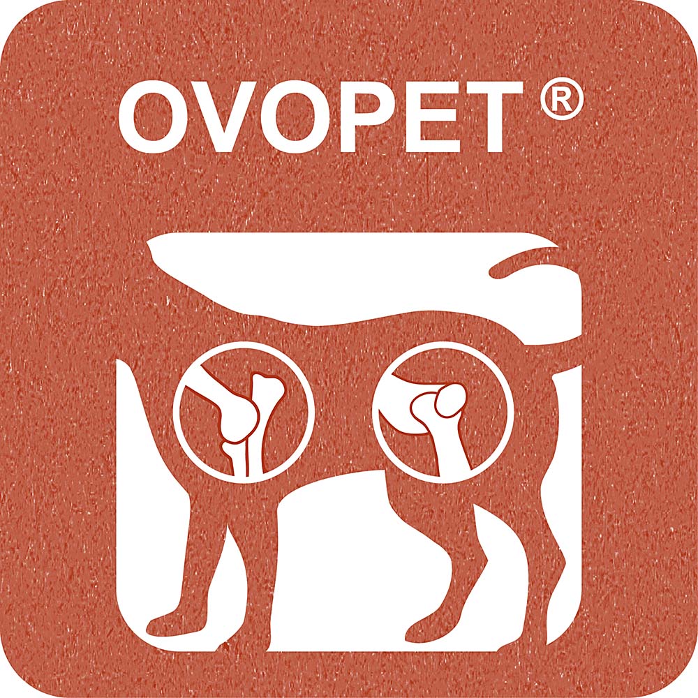 100% SNACK STICKS - FUSILLI OVOPET - Image 3