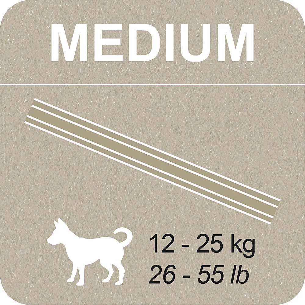 100% SNACK STICKS - SNOWFLAKE MELISSA - Image 9