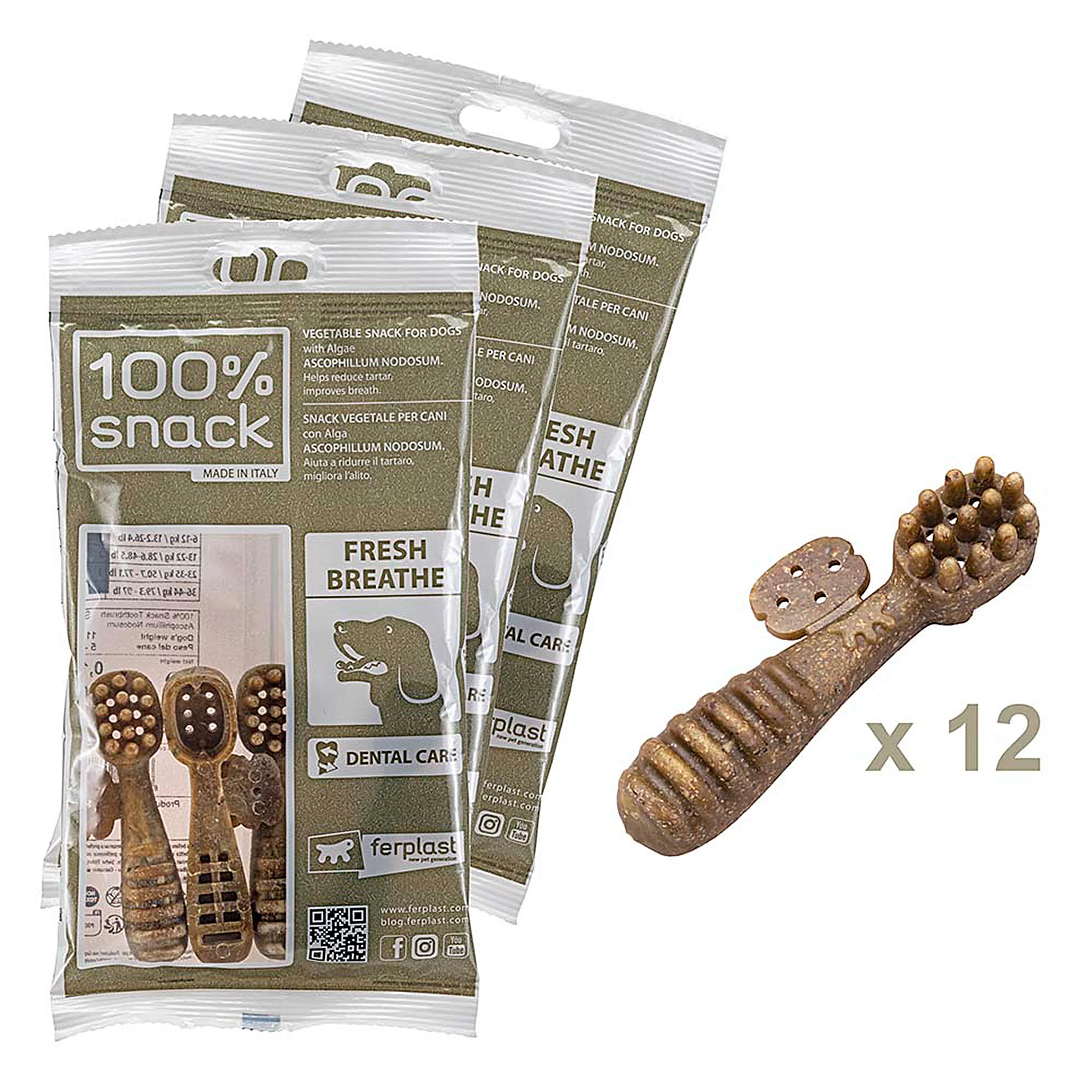 100% SNACK FILLABLE -  TOOTHBRUSH ASCOPHILLUM