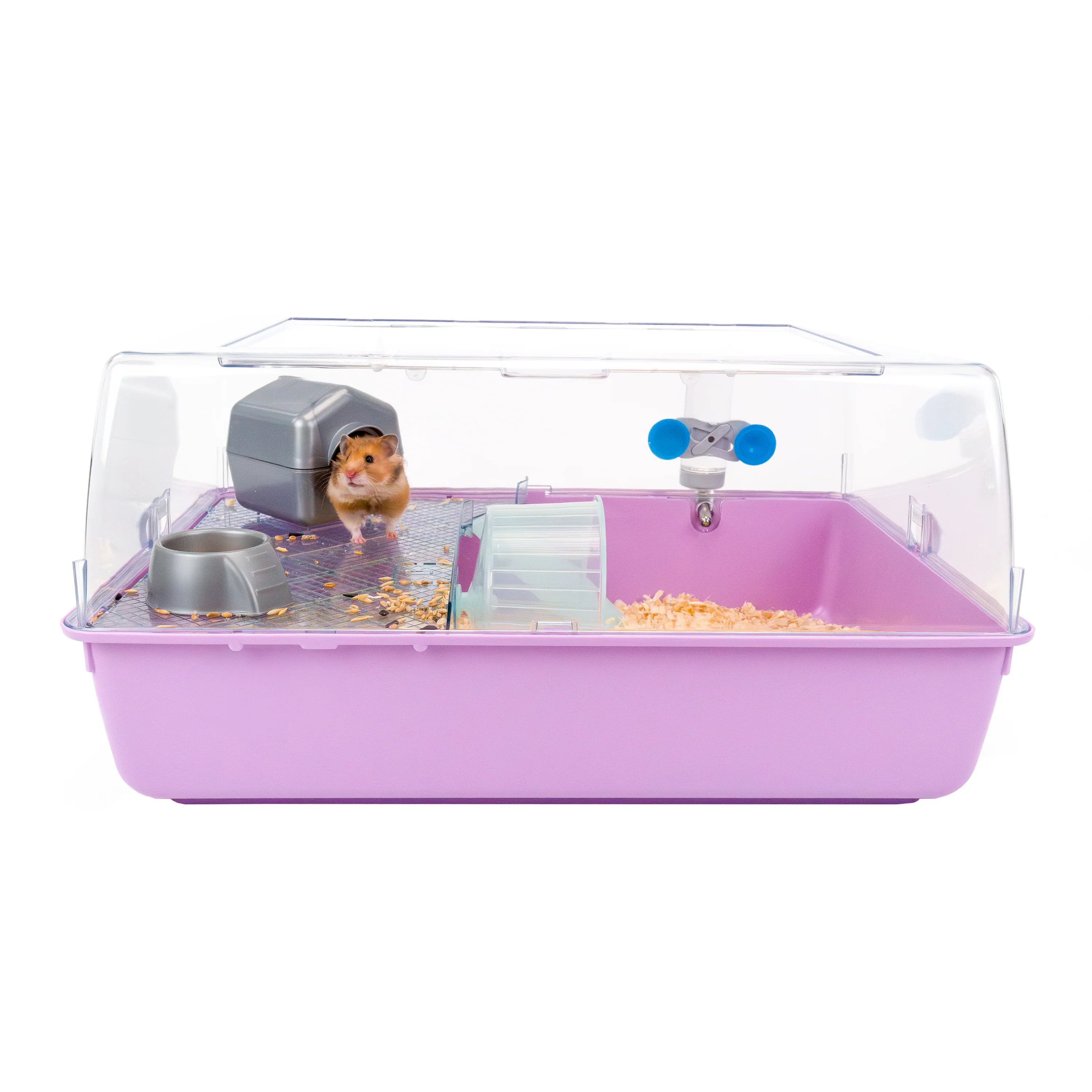 MINI DUNA HAMSTER - Image 3