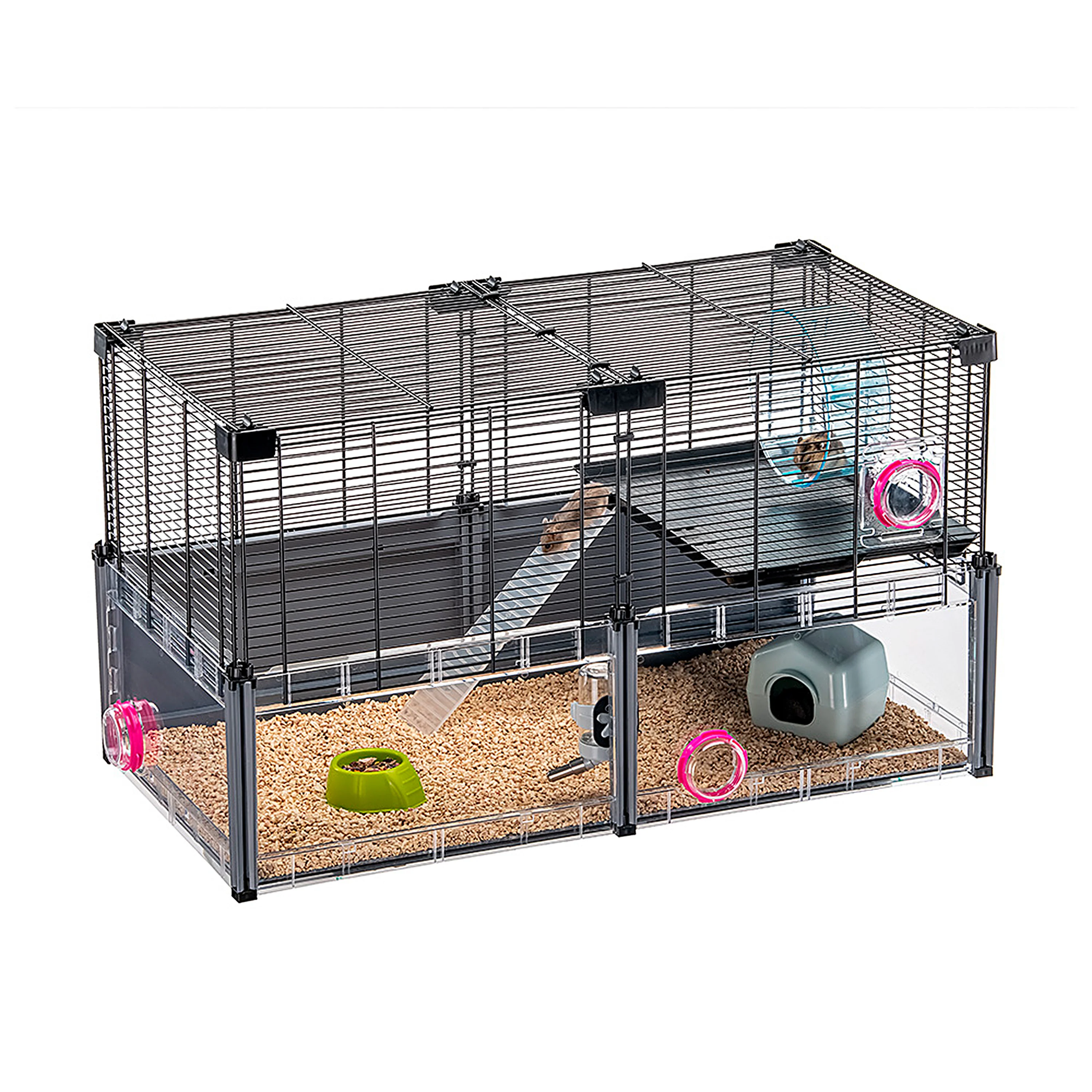 MULTIPLA HAMSTER