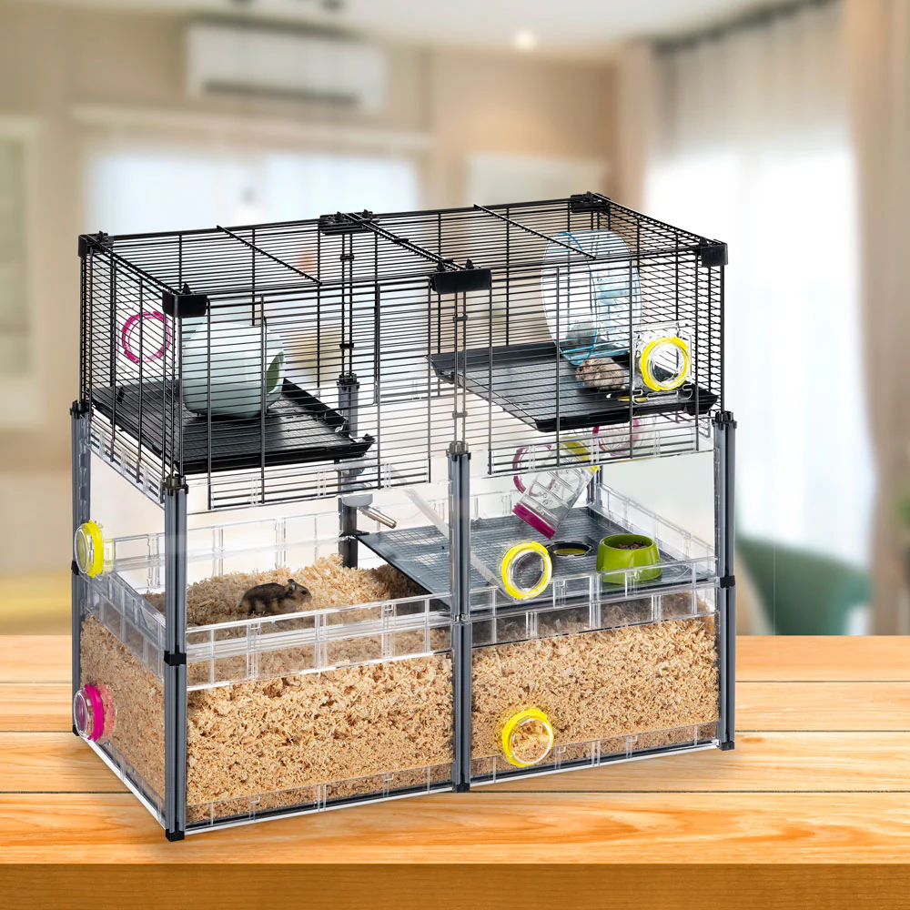 MULTIPLA HAMSTER CRYSTAL - Image 3