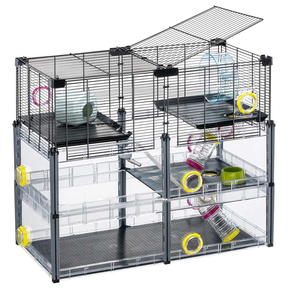 MULTIPLA HAMSTER CRYSTAL - Image 4