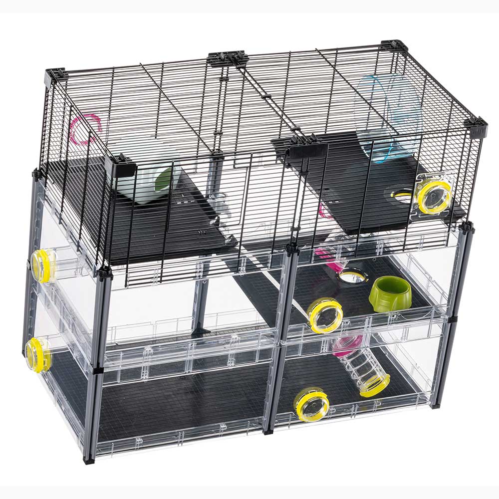 MULTIPLA HAMSTER CRYSTAL - Image 6
