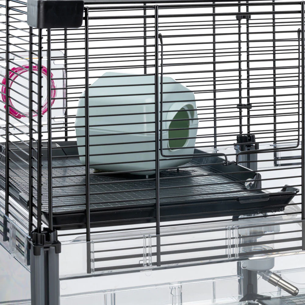 MULTIPLA HAMSTER CRYSTAL - Image 8