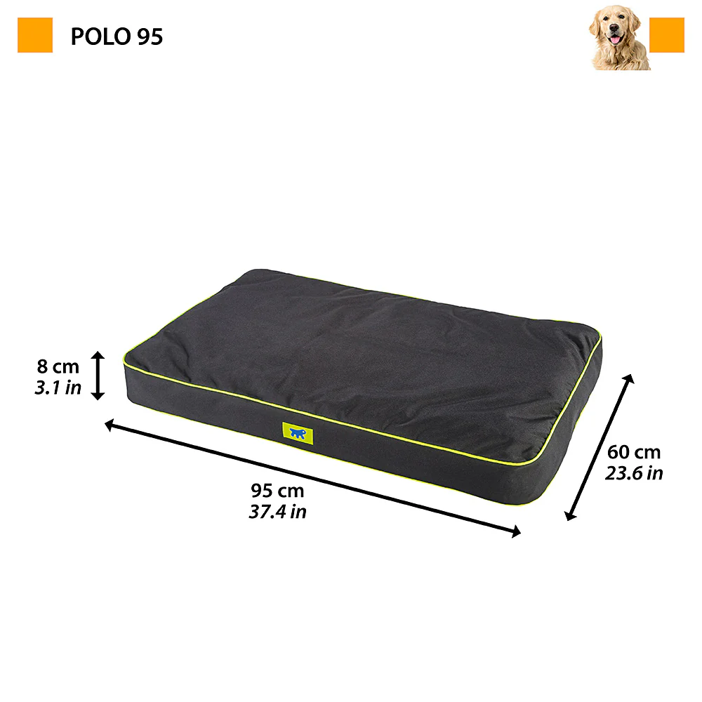 POLO - Image 34