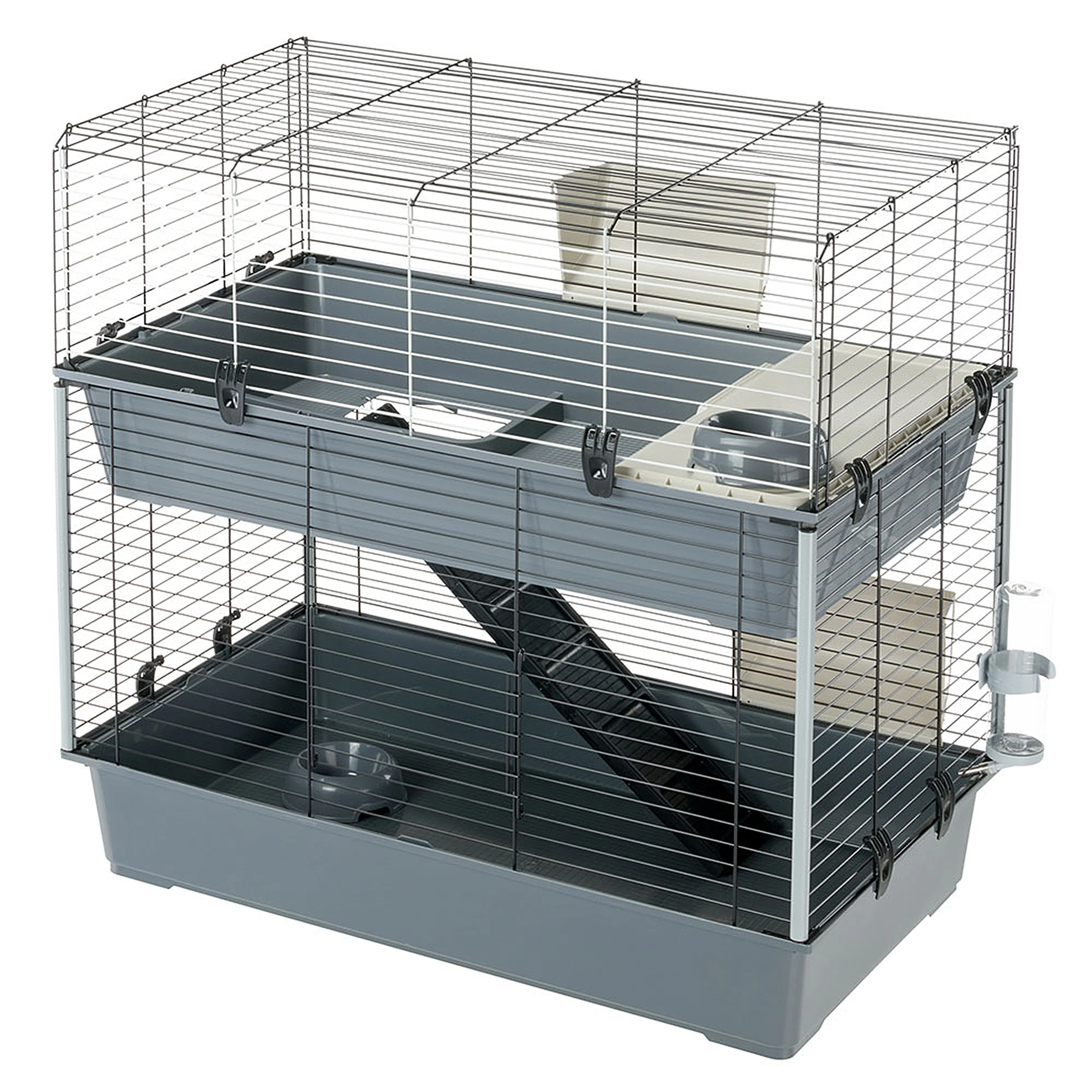 Rodents News
