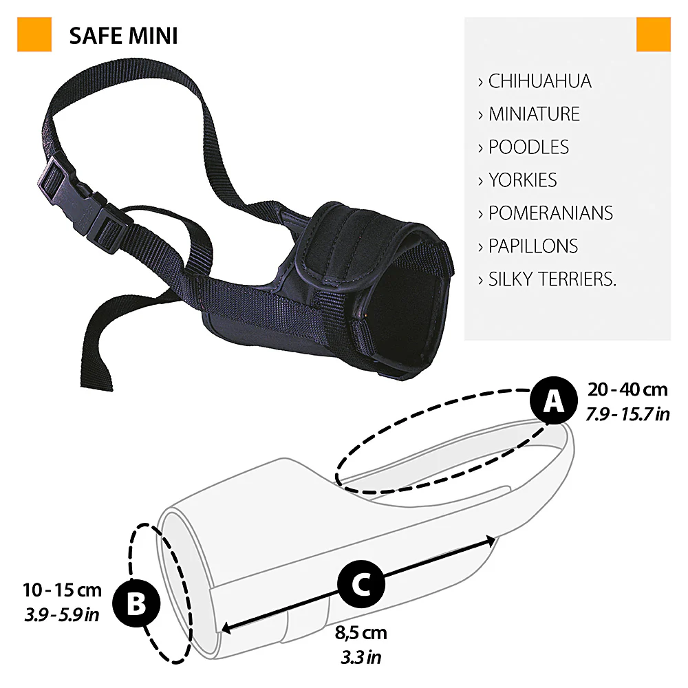 SAFE - Image 2