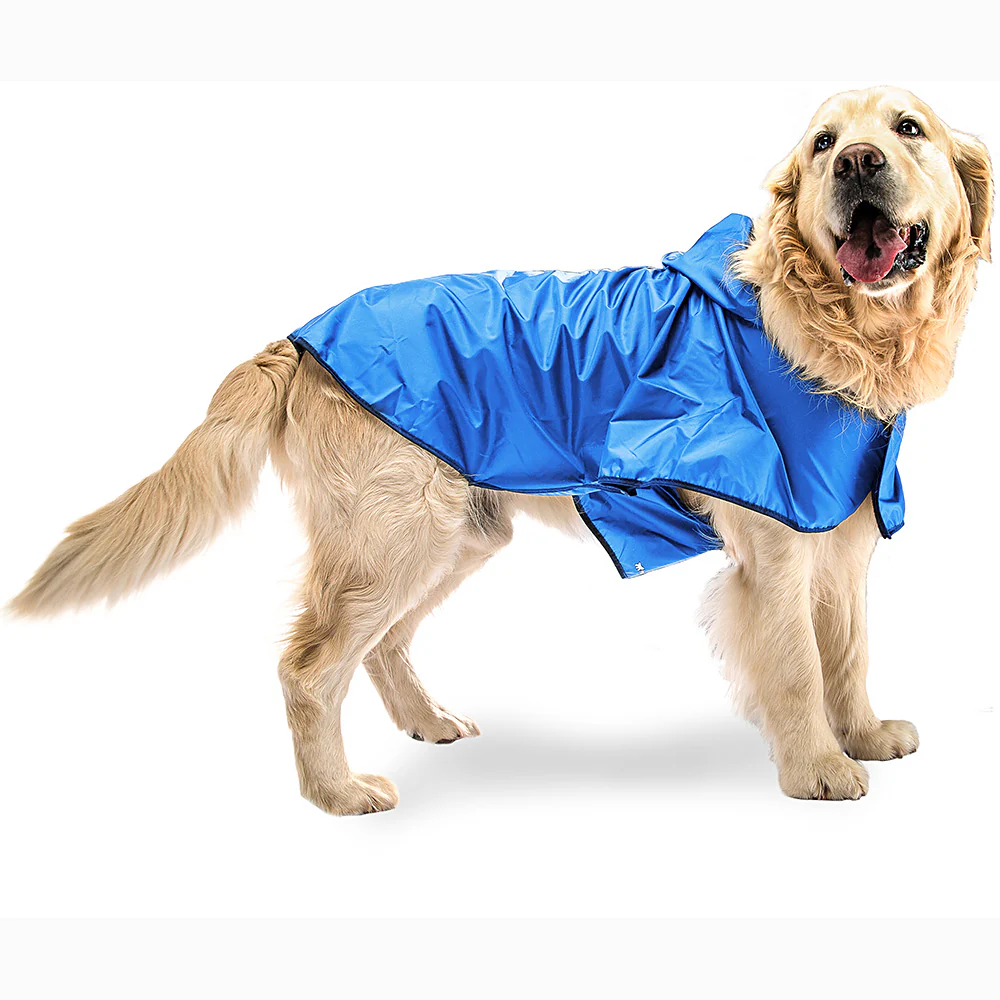 SAILOR BLUE - Image 6