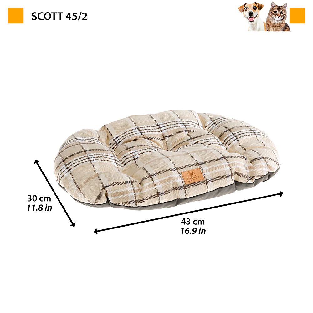 SCOTT - Image 2