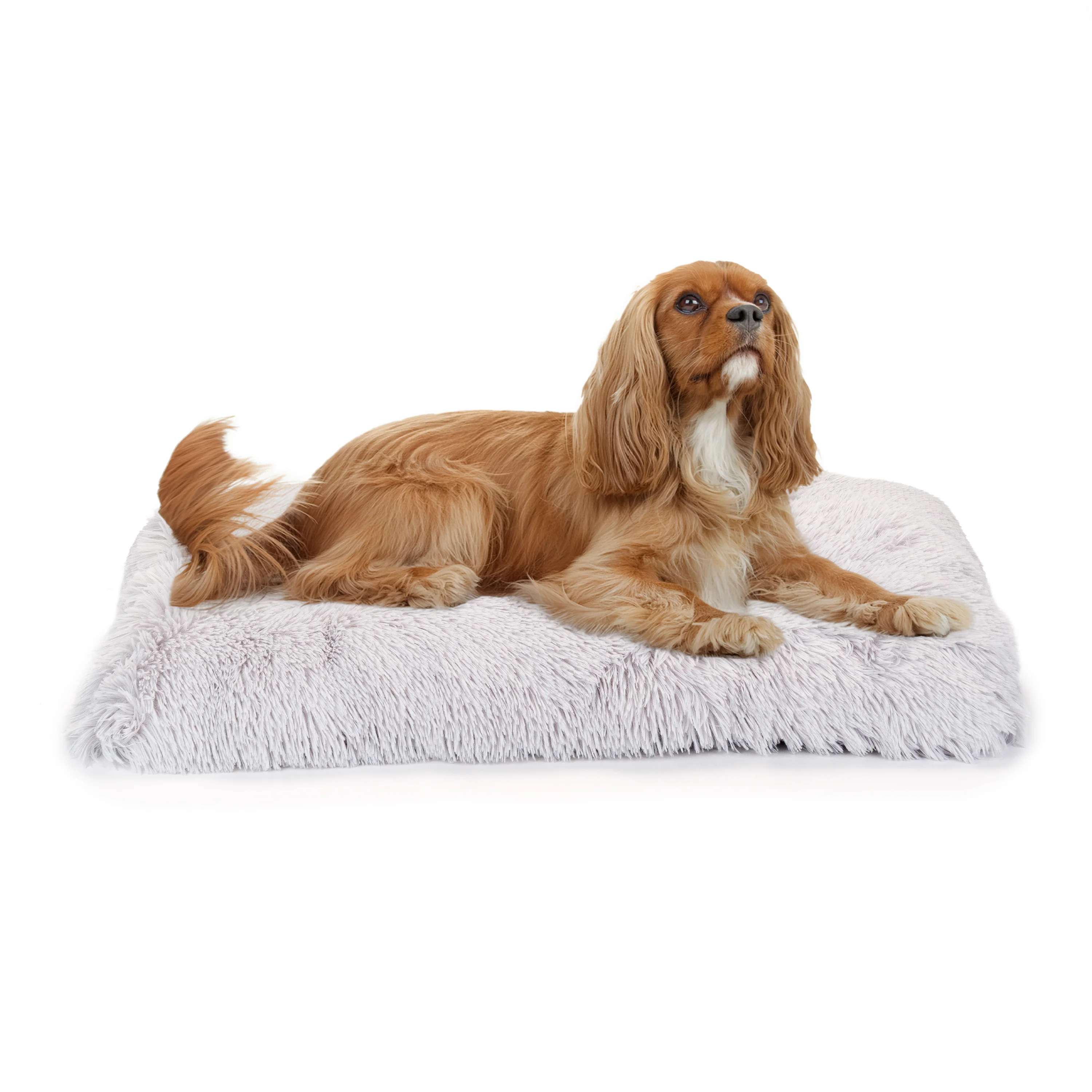 SHANTI Cat & Dog Cushion - Image 11