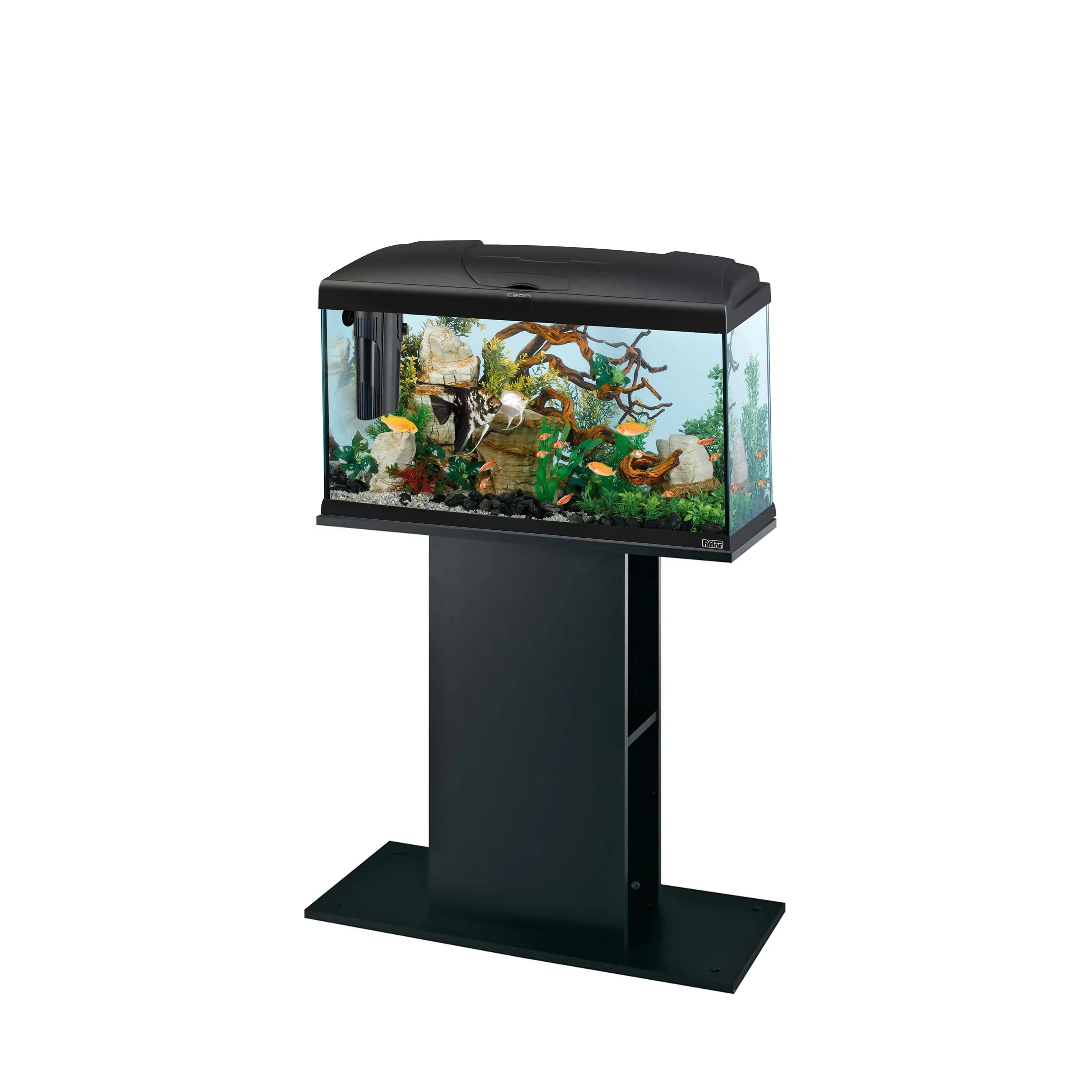 STAND 80 - Image 4