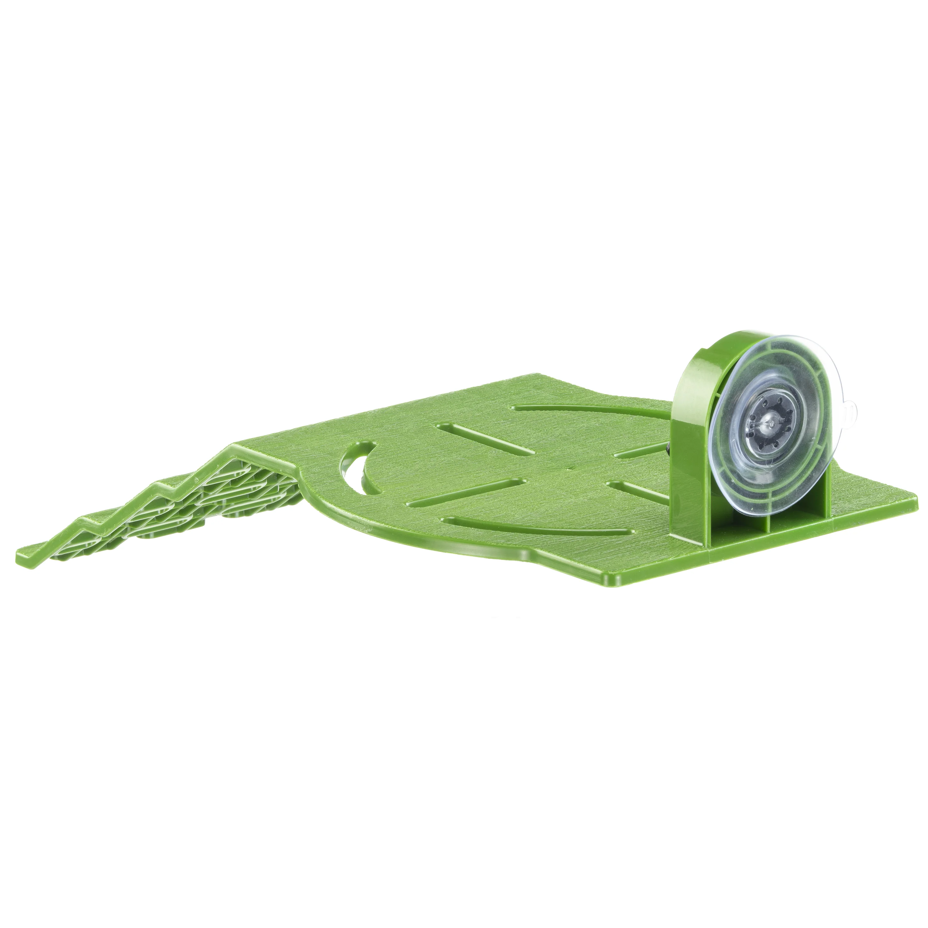 TURTLE RAMP - Image 7